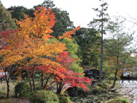大原野神社の紅葉