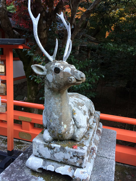 大原野神社の鹿