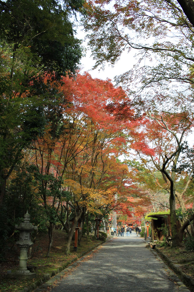 大原野神社の紅葉2017年11月