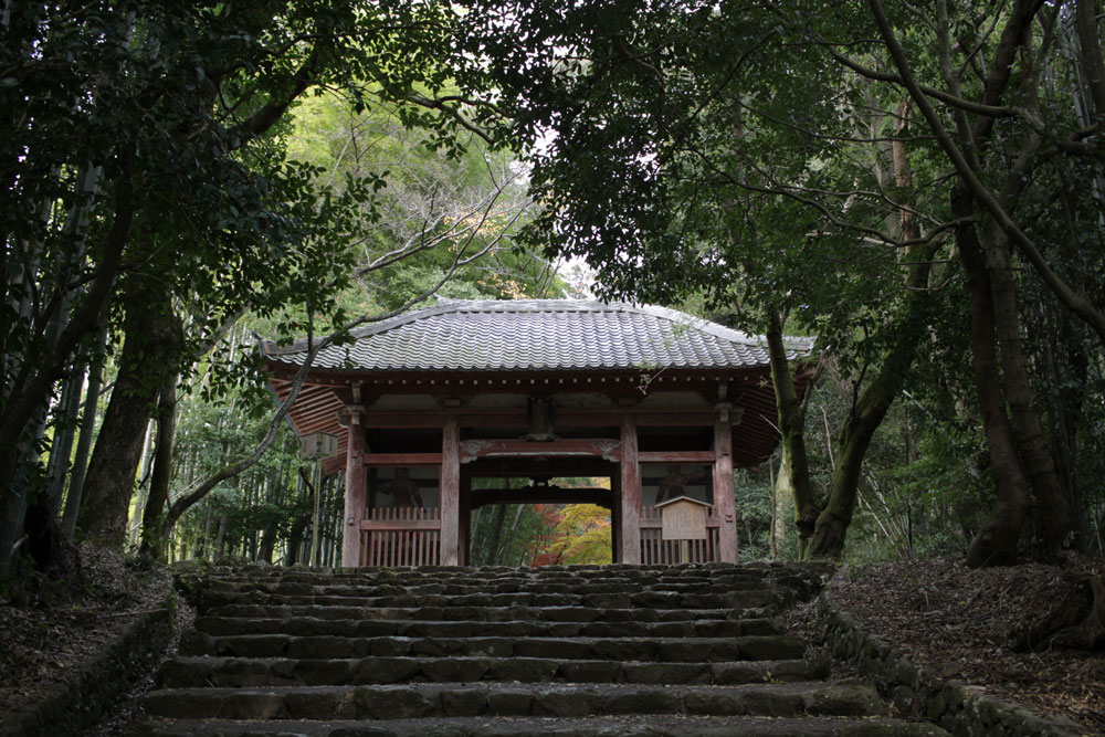 勝持寺の紅葉2017年11月