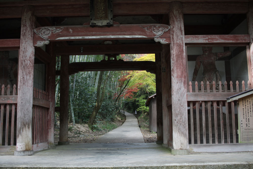 勝持寺の紅葉2017年11月