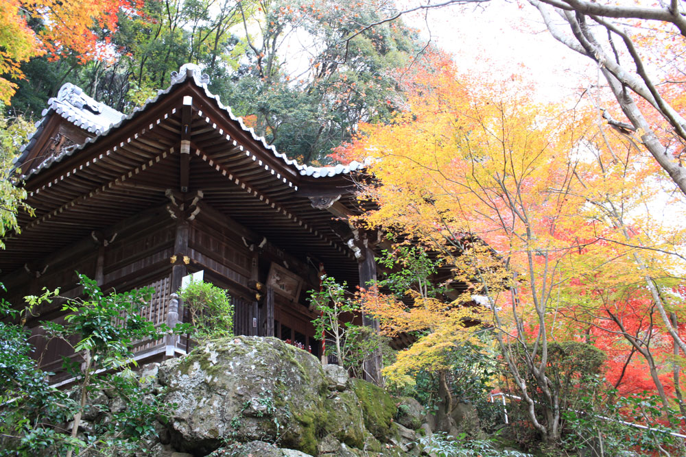 勝持寺の紅葉2017年11月