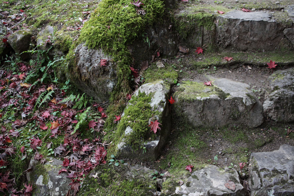 勝持寺の紅葉2017年11月