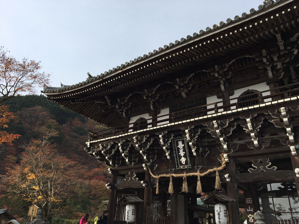 善峯寺の紅葉2017年11月