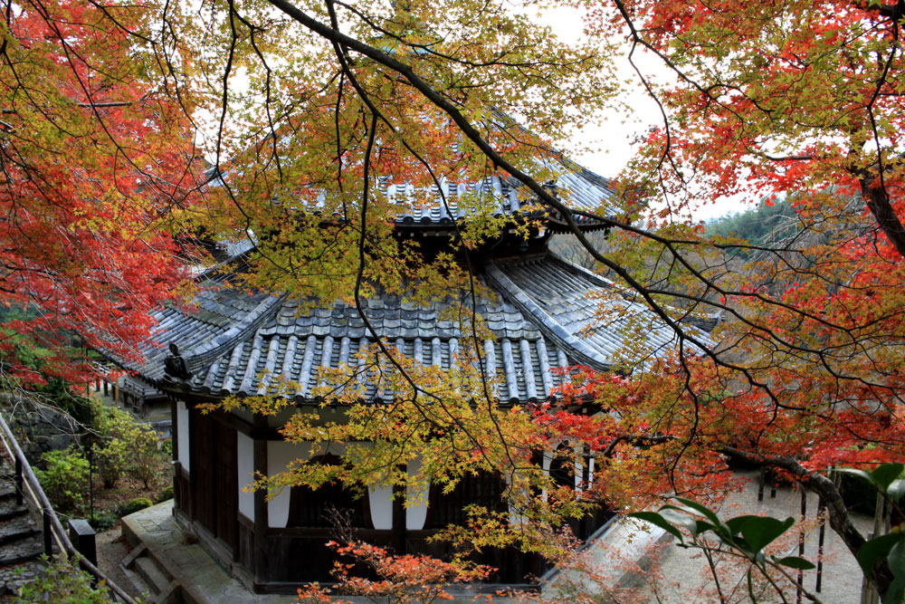 善峯寺の紅葉2017年11月