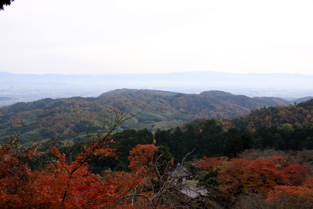 善峯寺の紅葉2017年11月