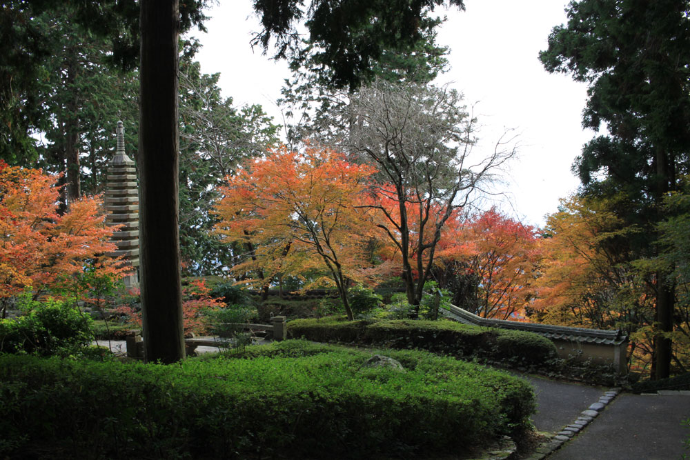 善峯寺の紅葉2017年11月