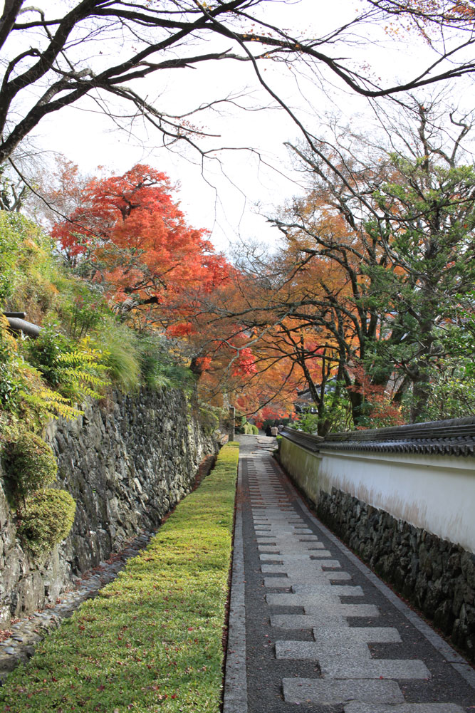 善峯寺の紅葉2017年11月