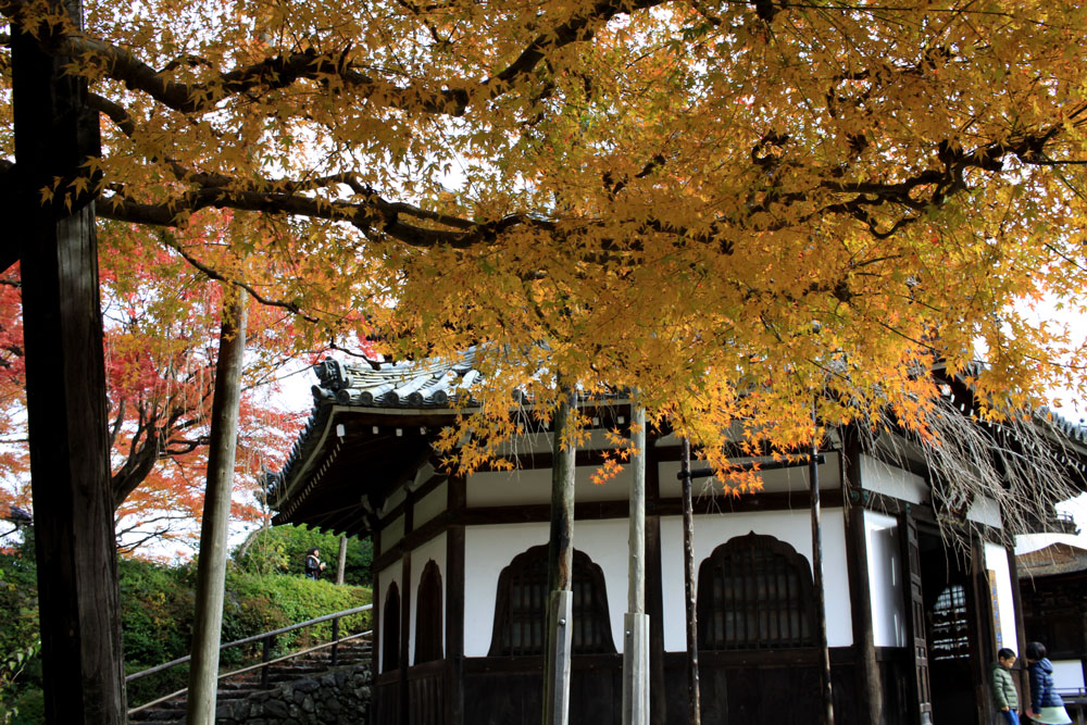 善峯寺の紅葉2017年11月