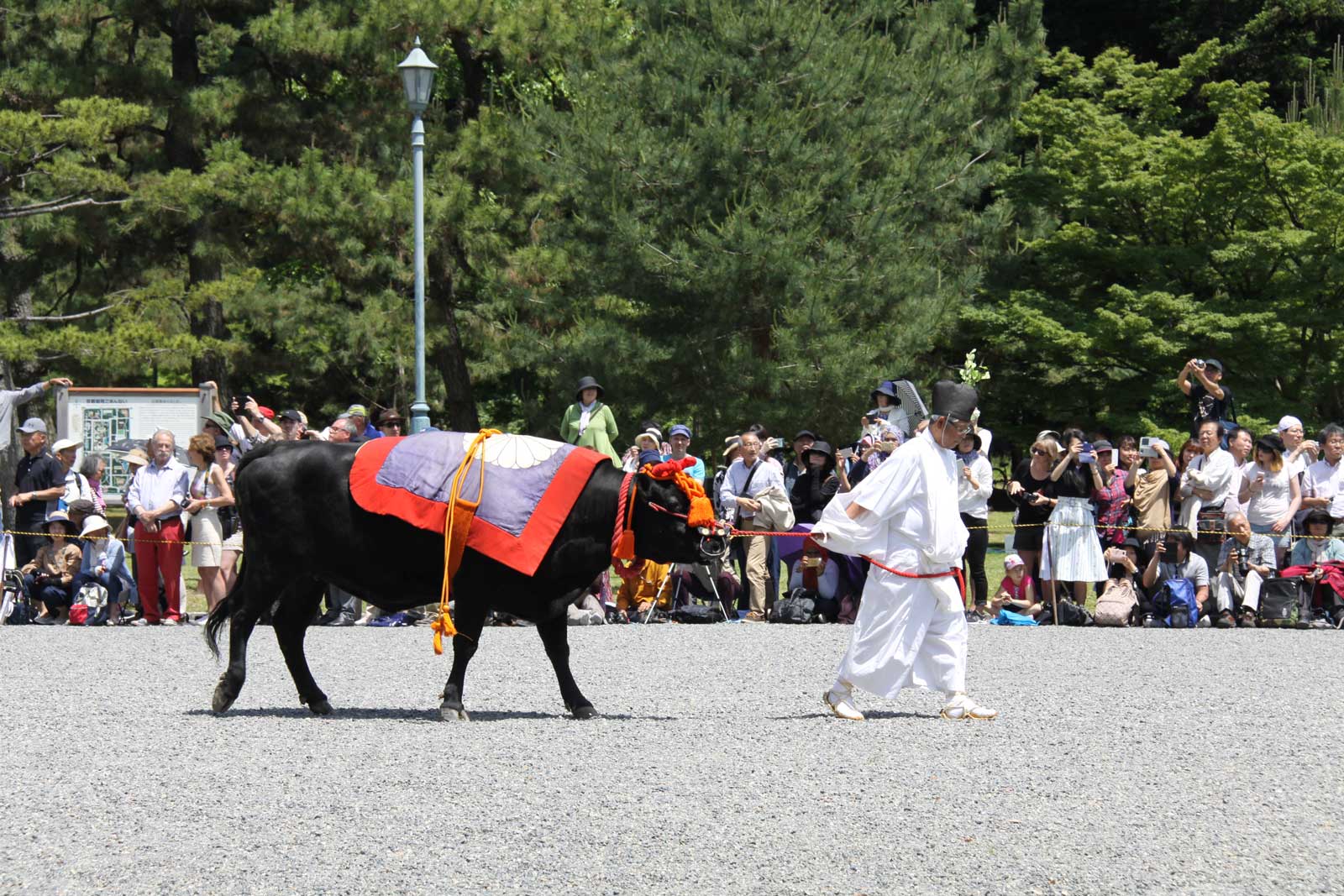 葵祭2018年5月15日