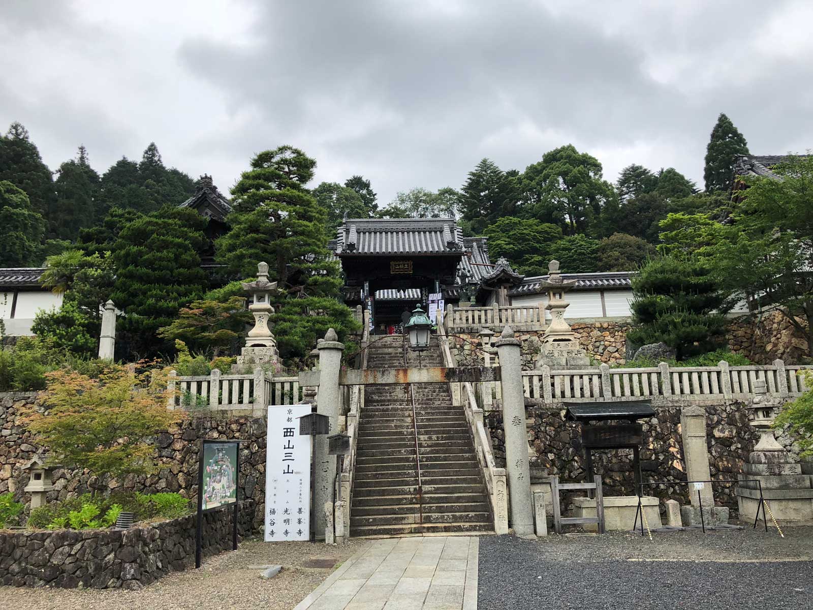 柳谷観音の紫陽花2018年6月