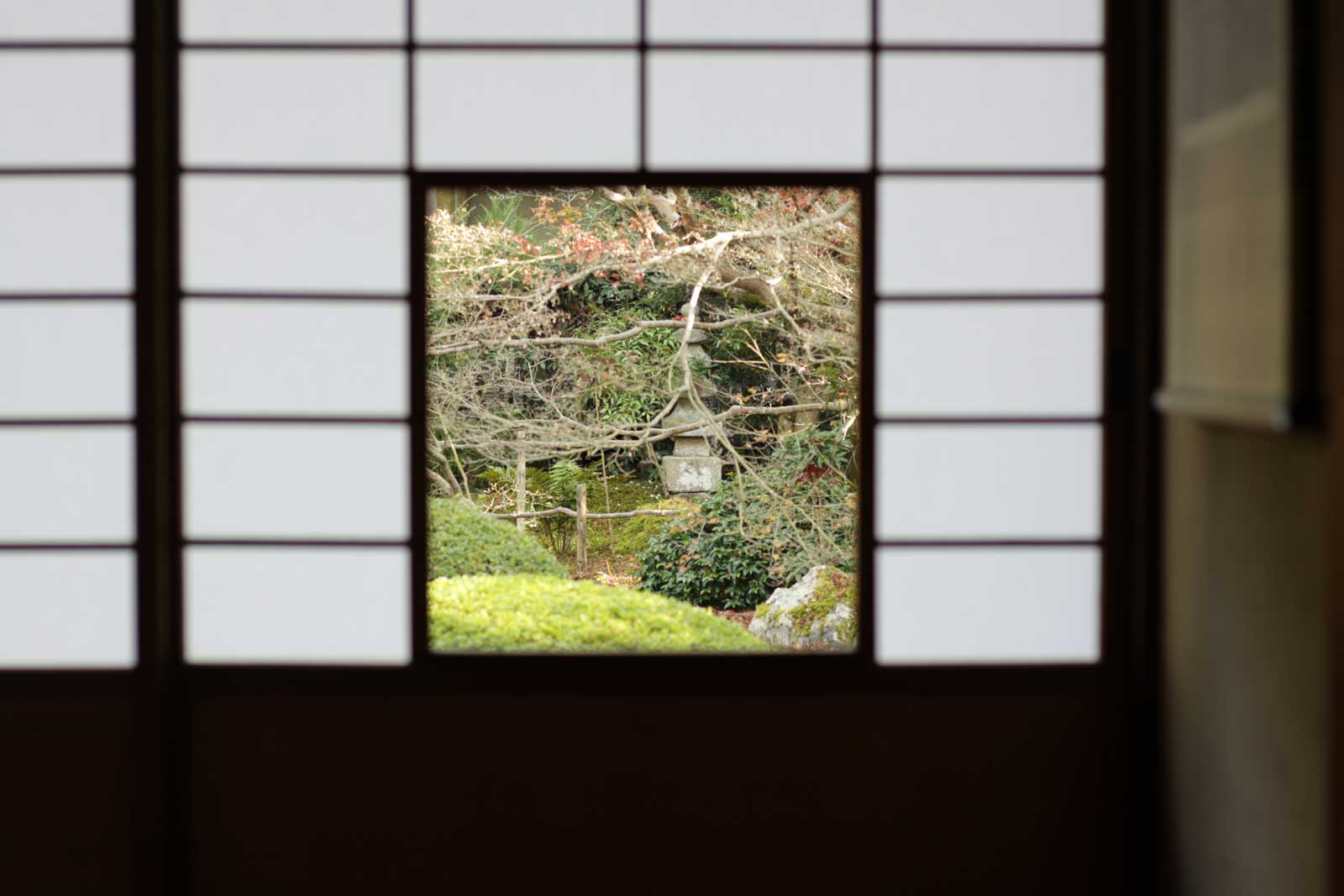 御寺 泉涌寺の紅葉2018年