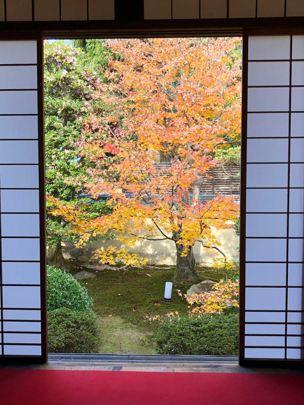 御寺 泉涌寺の紅葉2018年