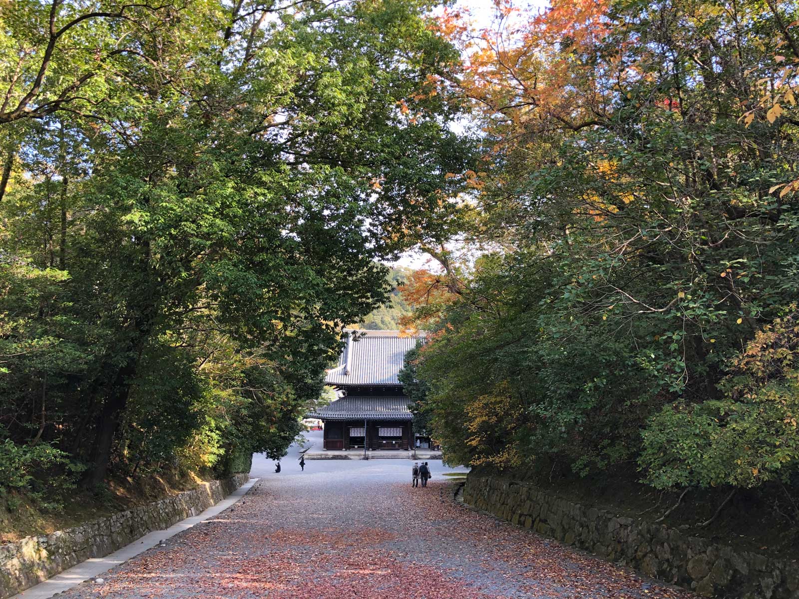 御寺 泉涌寺の紅葉2018年