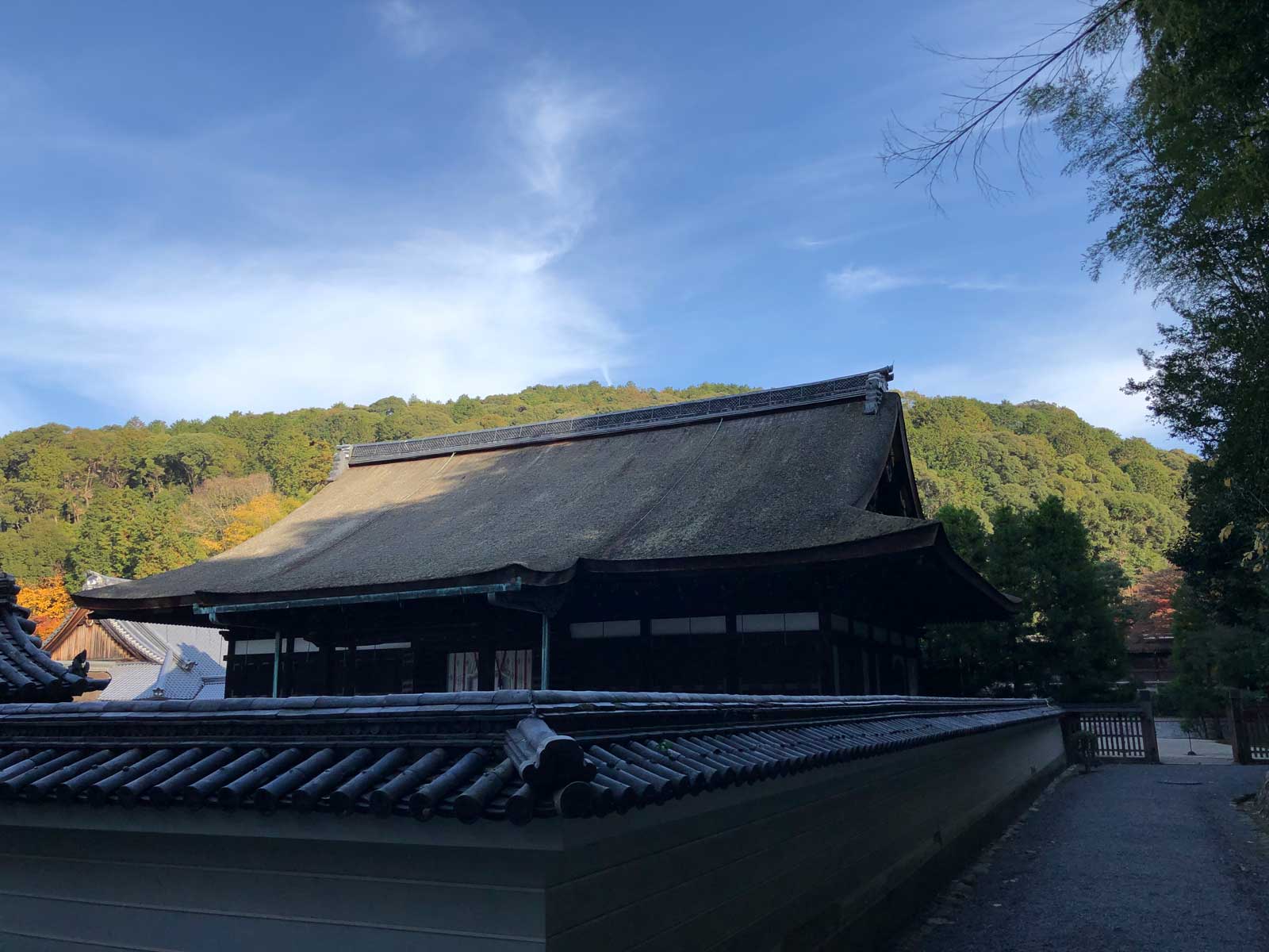 御寺 泉涌寺の紅葉2018年