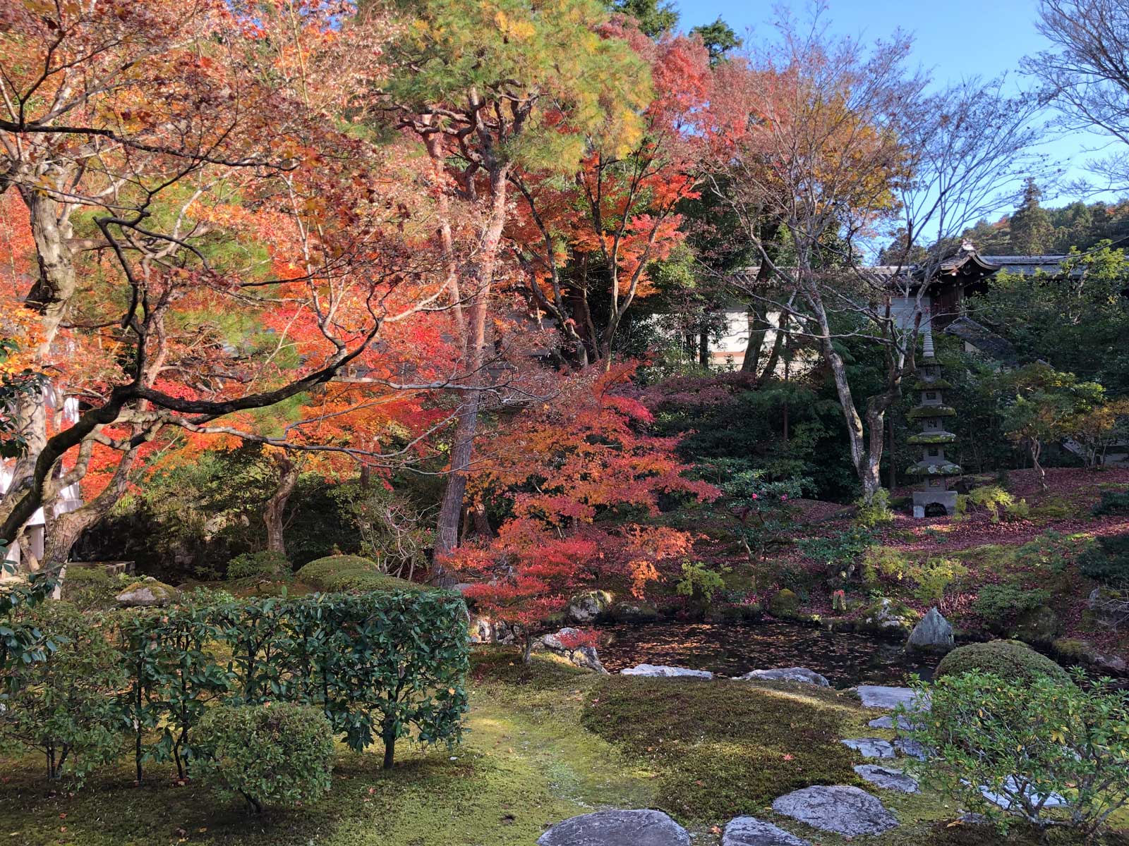 御寺 泉涌寺の紅葉2018年