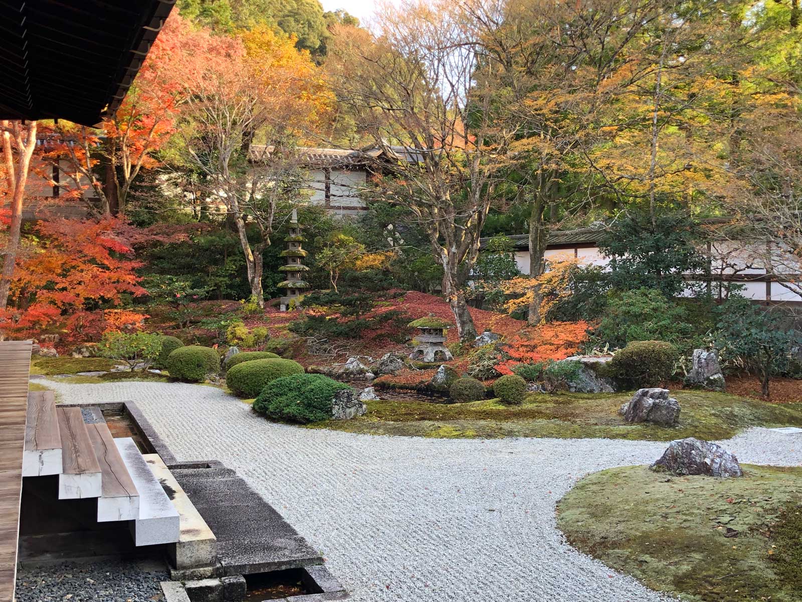 御寺 泉涌寺の紅葉2018年