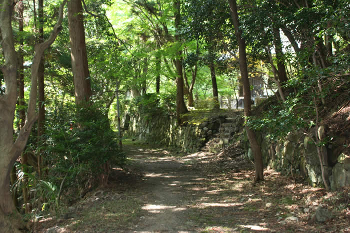 金蔵寺