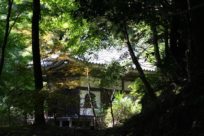 金蔵寺