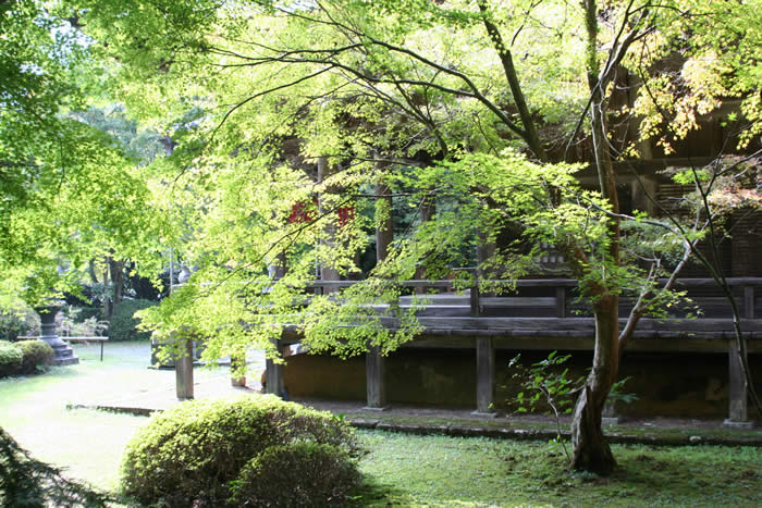 金蔵寺