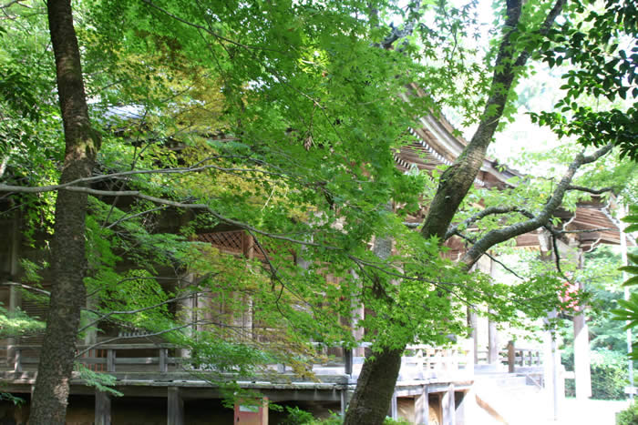 金蔵寺